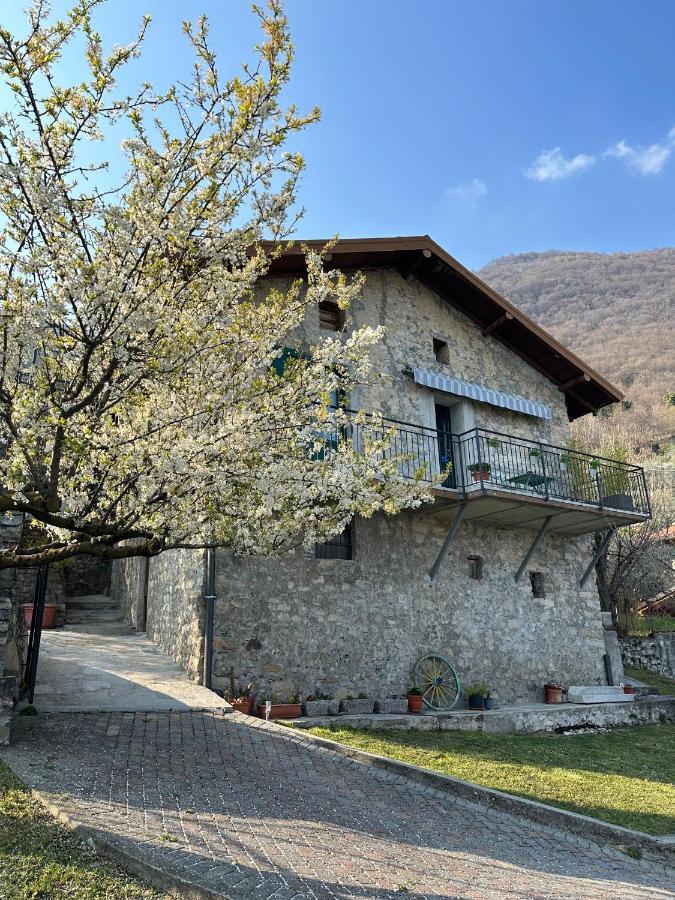 Greenlake House Tremezzina Tremezzo Exterior photo